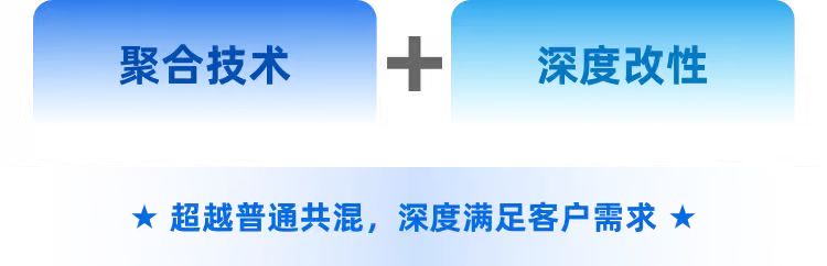改性PPO